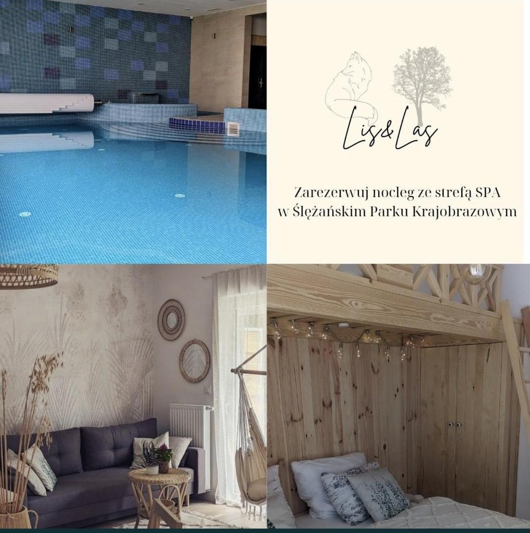 Apartament&Spa Lis&Las Sobótka Esterno foto